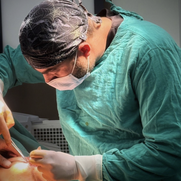 Capture d’écran 2026-01-13 à 19.52.14